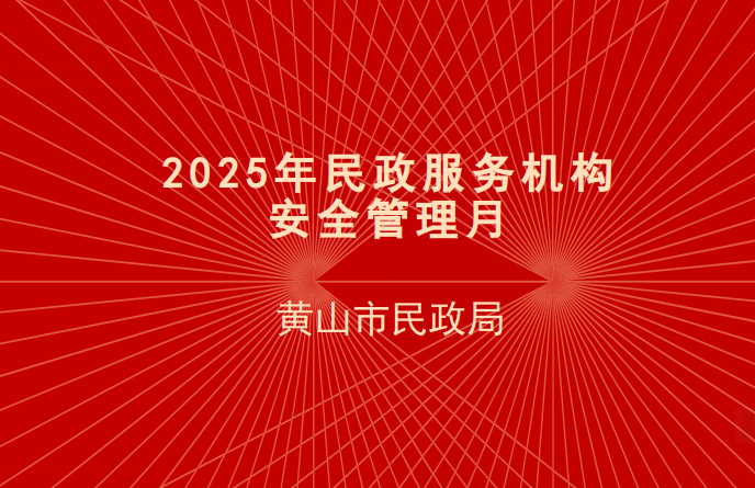 2025年民政服务安全管理月